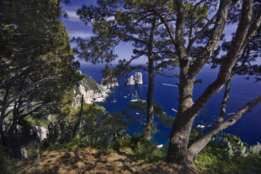 Similar image 1557919