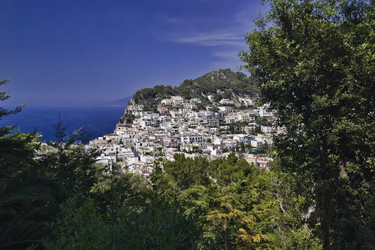 Similar image 1557920