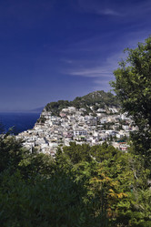 Similar image 1557921