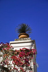 Similar image 1557924