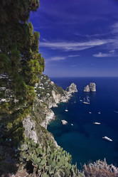 Similar image 1557933