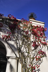 Similar image 1557935