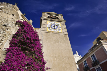 Similar image 1557948