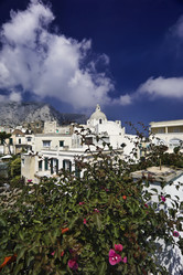 Similar image 1557953