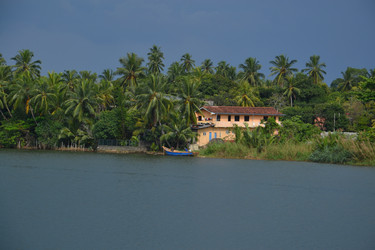 Similar image 1557995