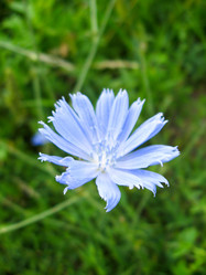 Similar image 1558092