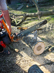 Similar image 1558100