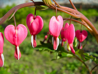 Similar image 1558106