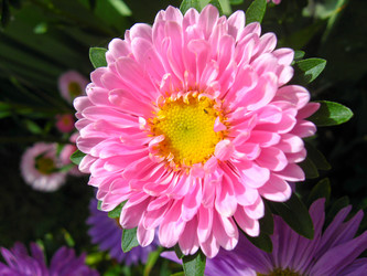 Similar image 1558108