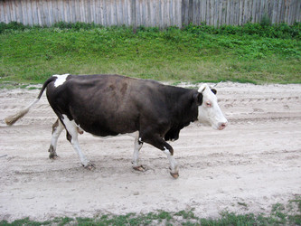 Similar image 1558117