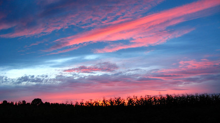 Similar image 1558119