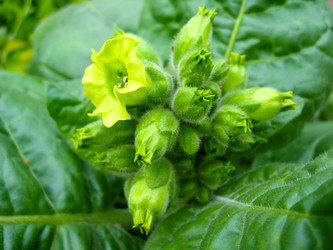 Similar image 1558122