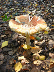 Similar image 1558126