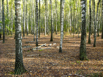 Similar image 1558128