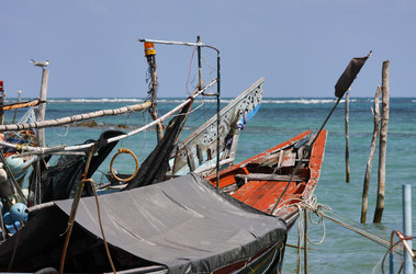 Similar image 1558156