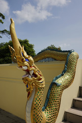 Similar image 1558161