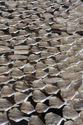 Similar image 1558166