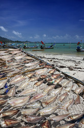 Similar image 1558172