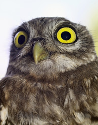 Similar image 1558306