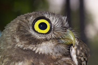 Similar image 1558311