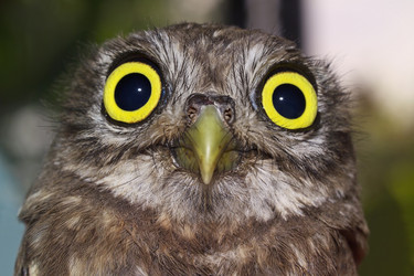 Similar image 1558313