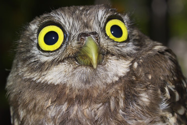 Similar image 1558315