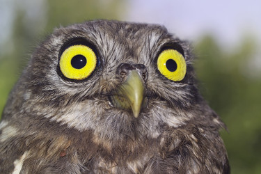 Similar image 1558318