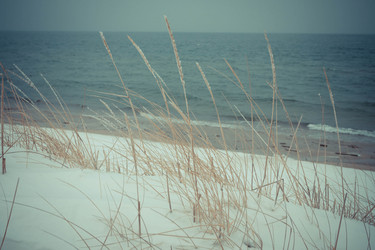 Similar image 1558373