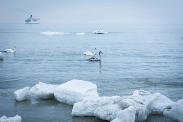 Similar image 1558375