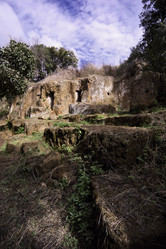 Similar image 1558415