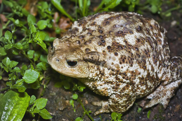 Similar image 1558455