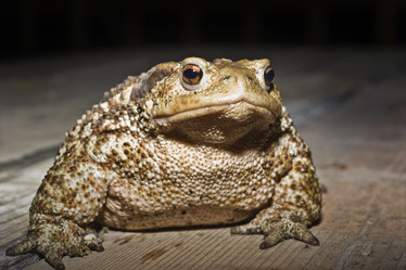 Similar image 1558459