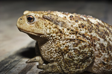 Similar image 1558461