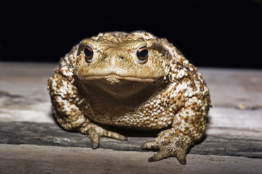 Similar image 1558475