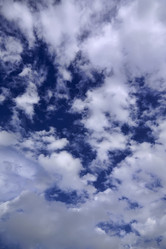 Similar image 1558490