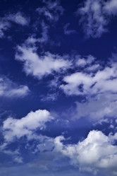 Similar image 1558523