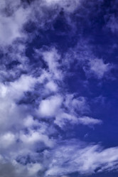 Similar image 1558535