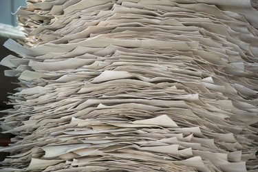 Similar image 1558544