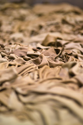 Similar image 1558548