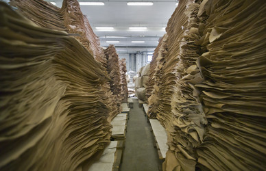 Similar image 1558570