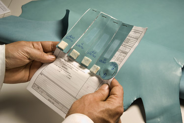 Similar image 1558628