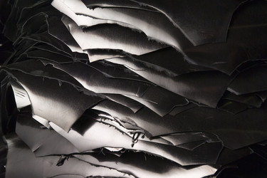 Similar image 1558642