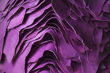 Similar image 1558645