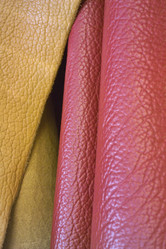 Similar image 1558652