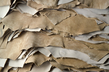 Similar image 1558656