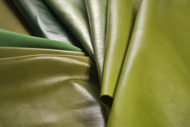 Similar image 1558659