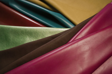 Similar image 1558664