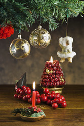 Similar image 1558676