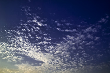 Similar image 1558681