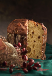 Similar image 1558700